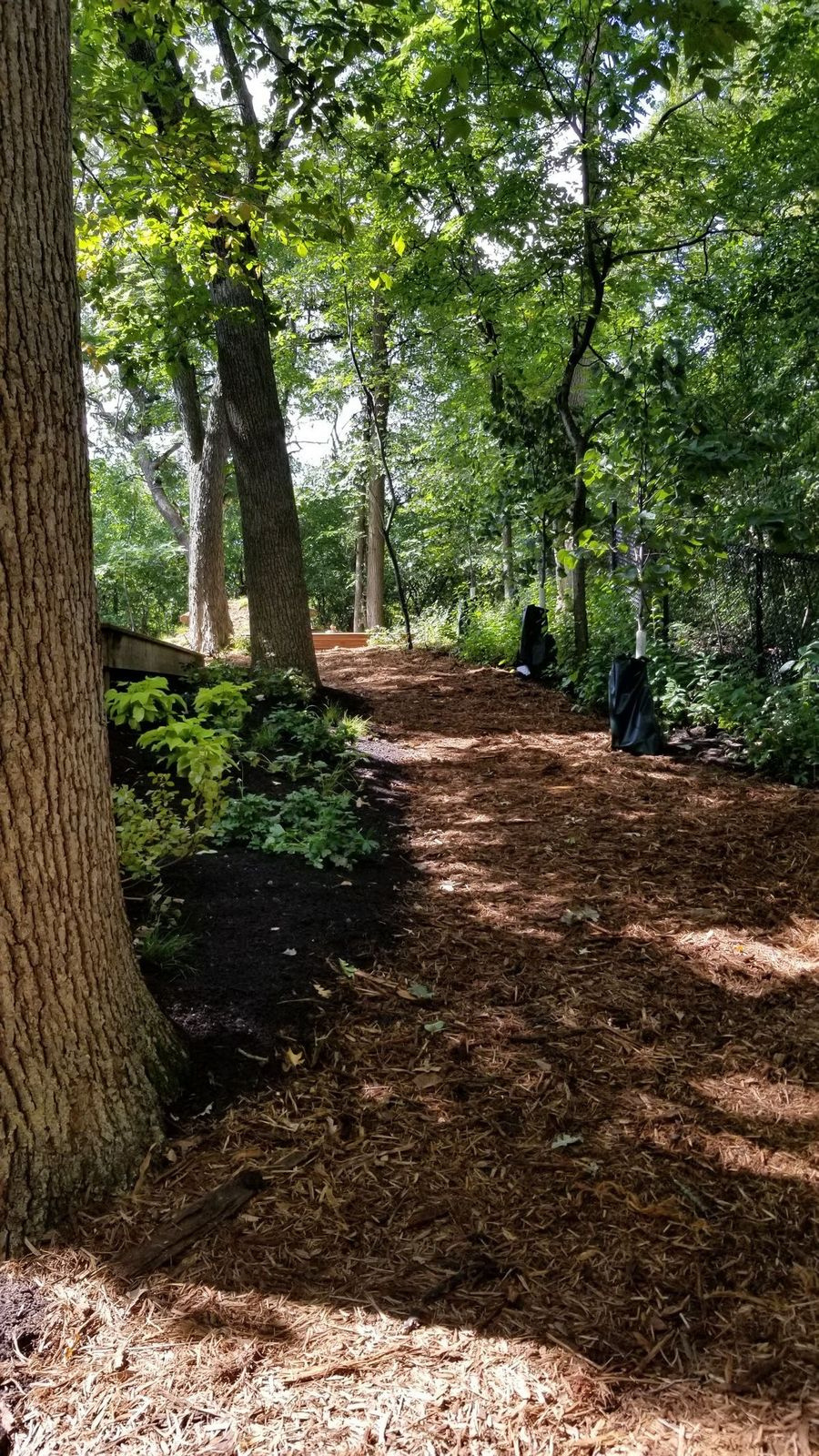 Walking Trail